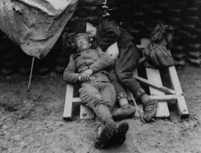 一战老照片战场上的哥萨克骑兵法军将德军军帽戴在军犬头上