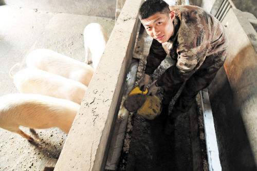 后勤|饲养员|部队_新浪新闻