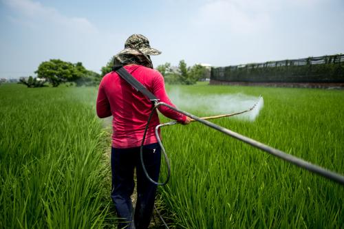 时间:很多人在配备农药的时候,总会提前1天配好,这样就可以减少打农药