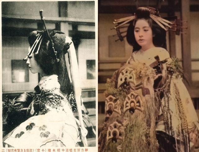 海贼王伏笔众多的稻本楼小紫原型揭秘疑似和之国斩人魔的恋人