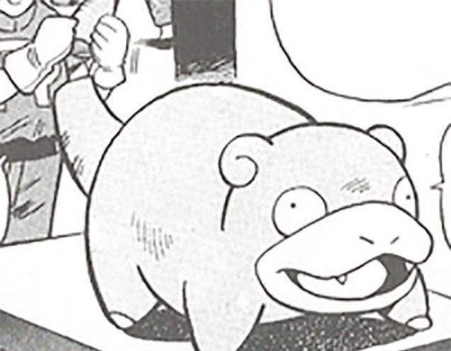 神奇宝贝呆呆兽的尾巴被制成佳肴这个设定实在让人匪夷所思