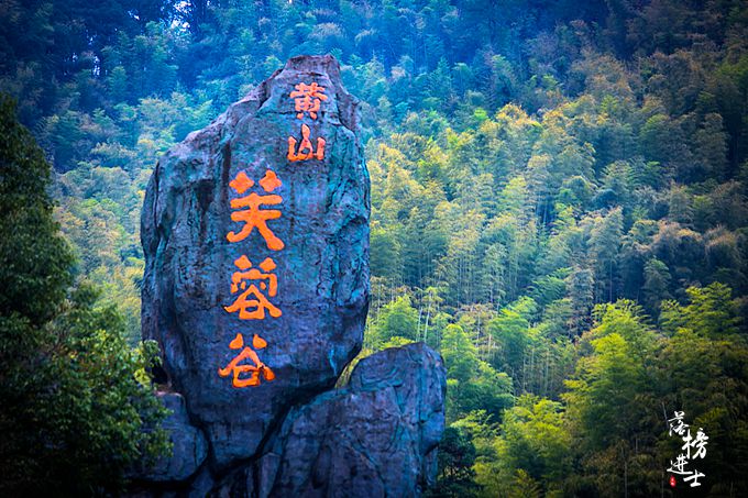 黄山芙蓉谷,这里是黄山下一处秘境,走在里面犹如仙境一般!