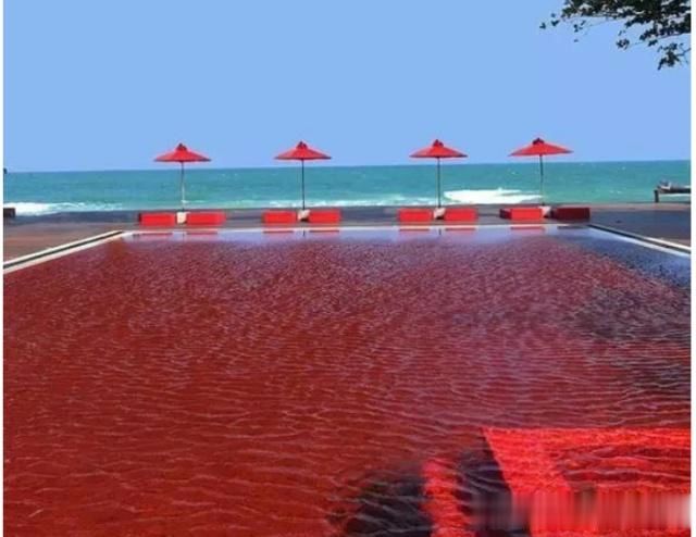 世界上最恐怖的游泳池让人看了就害怕你敢去试试么