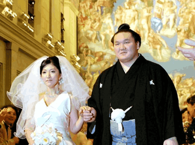 亚伯勒|娇妻|大象_新浪新闻