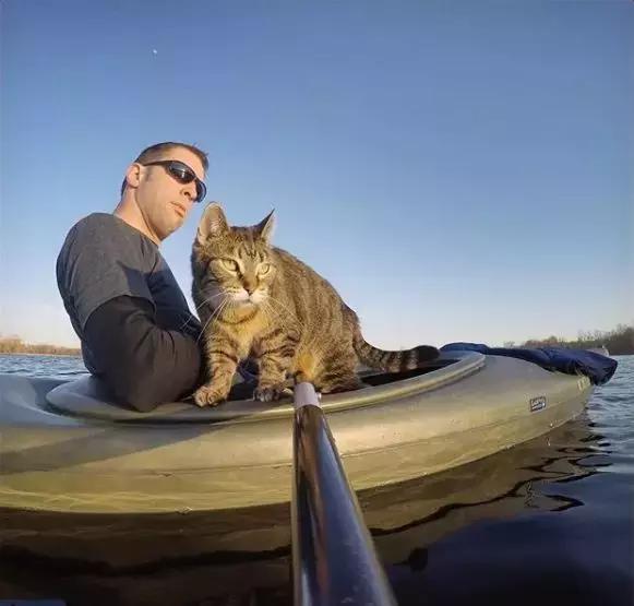 猫划皮划艇头像图片