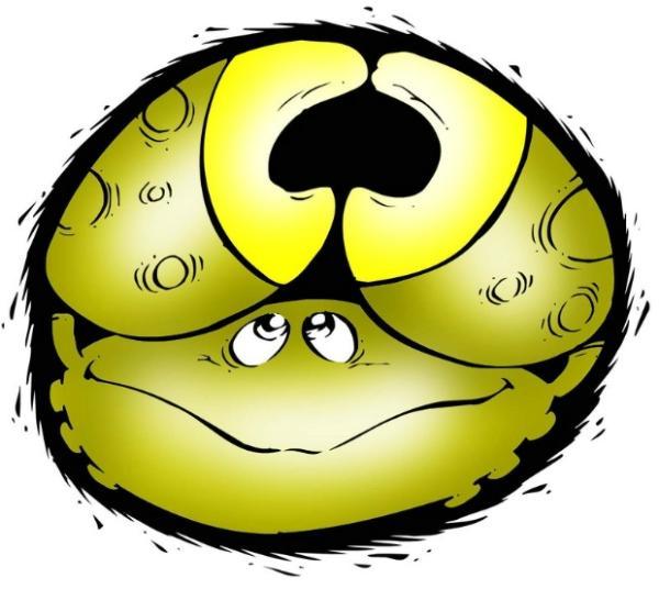 巨蟹座怎么化解心中的戾气