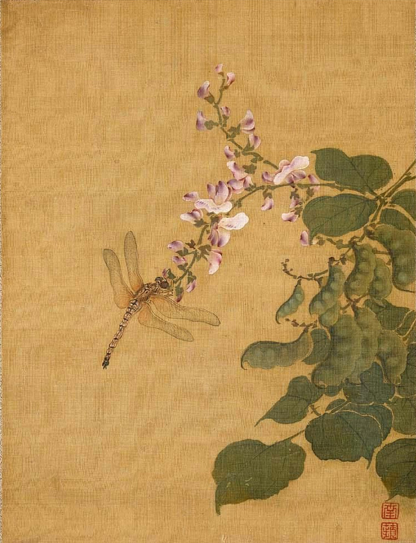 清 沈铨《花鸟图册》|花鸟图册|沈铨|画派_新浪新闻