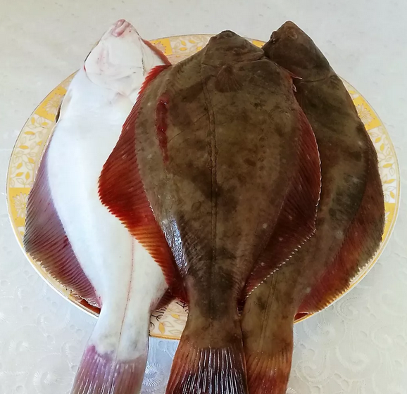 小嘴鱼的做法(翘嘴鱼怎么做好吃)