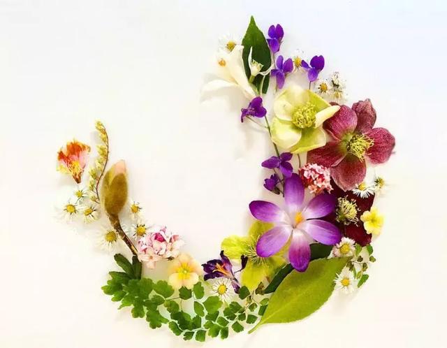 心理测试:选一组精心摆放的花瓣,测最近你的桃花运好吗