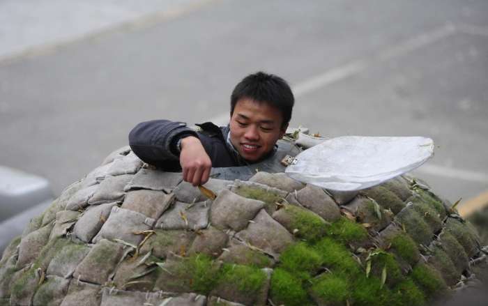 "北漂"男孩因房价太贵, 自造"蛋形窝"不足万元, 却遭物业驱逐