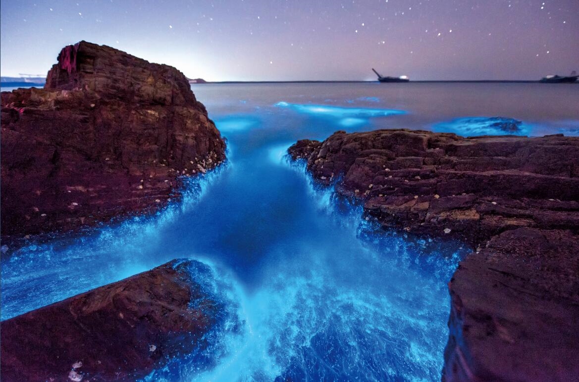 世界上最美海滩,沙滩会呈现蓝色荧光,却不是个好现象!