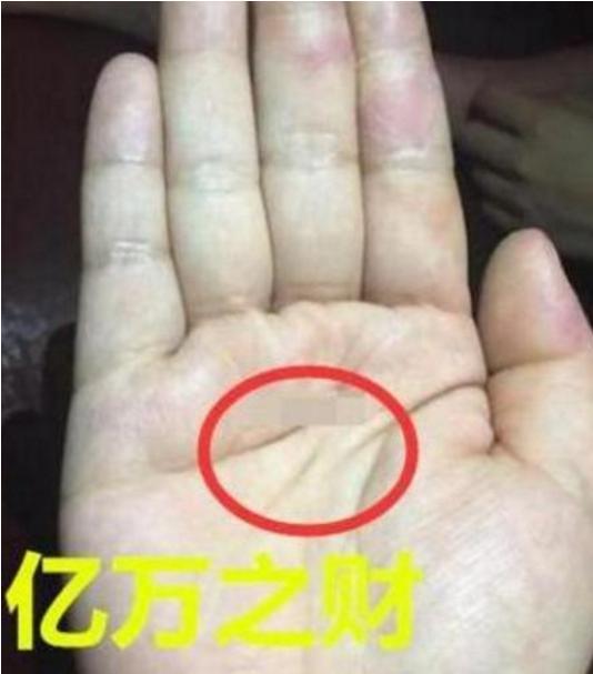 有此手相的人,百年难得一见,必发亿万之财!你有吗?|财富|手相|亿万_新