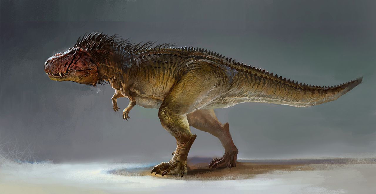 人类|恐龙|生物_新浪网