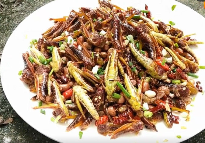 12岁农村小孩上山捉这种野味,爆炒成美食,你觉得如何