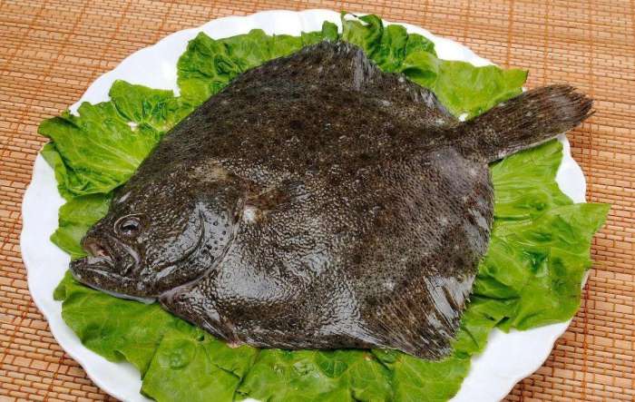 这种鱼虽然贵, 但是特别有营养, 尤其是手脚冰凉的人, 更要吃|多宝鱼|