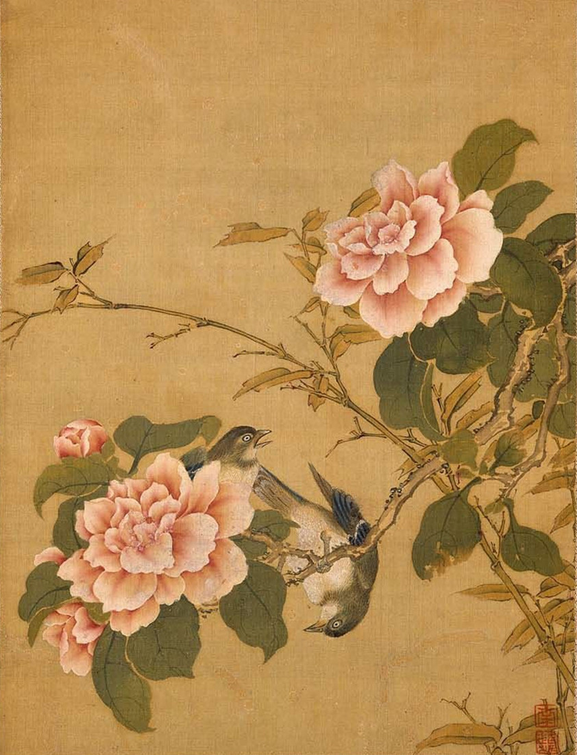 清 沈铨《花鸟图册》