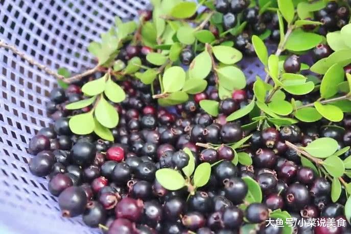 农村有种野果, 是80和90后的回忆, 有好多的00后都没吃过它