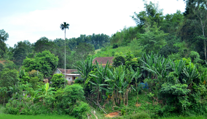 越南的农村是什么样的和中国有什么不同看一看就明白了