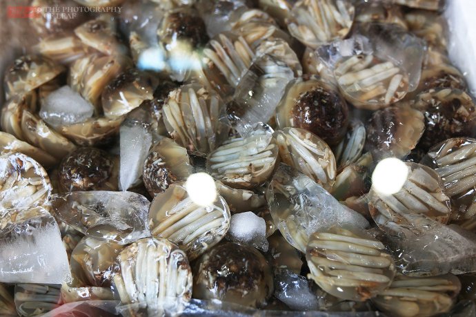 厦门,中国著名的海滨城市,同时也是国内热门的旅游目的地.