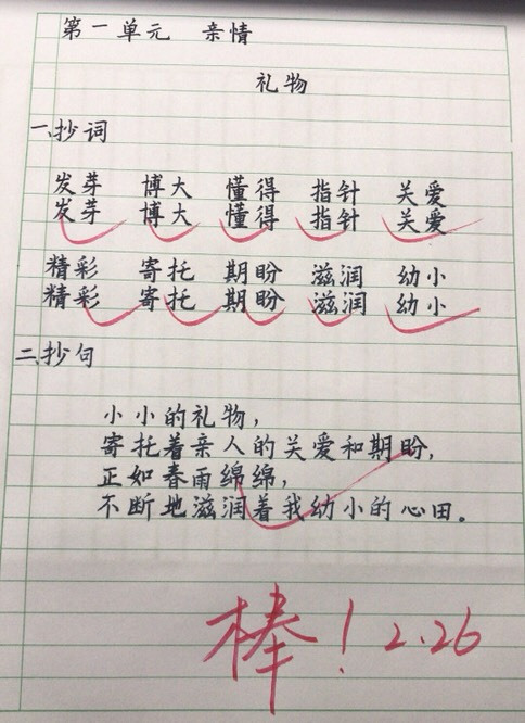 小学生语文作业看了真舒服,字迹如同印刷体,老师:学习的榜样