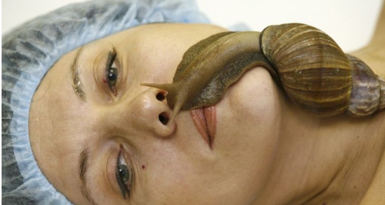 女子拿活蜗牛美容美体,发现问题后,已经来不及了