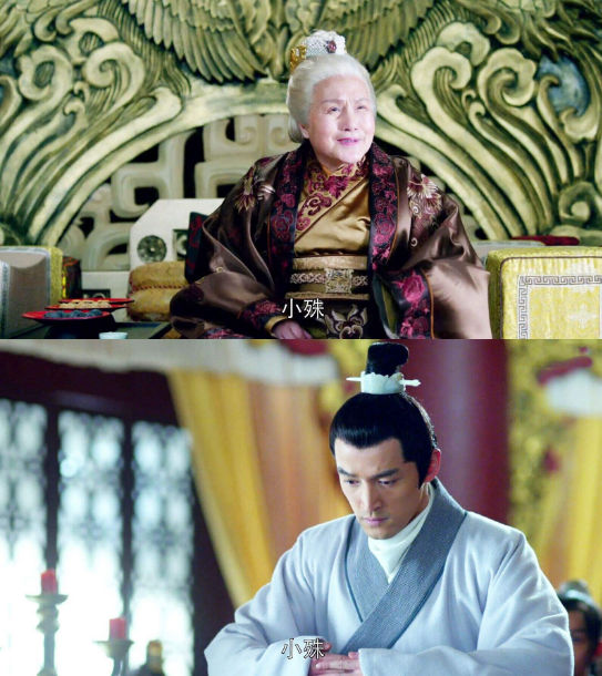 琅琊榜太奶奶为何能一眼认出林殊这个细节梅长苏都忽视了