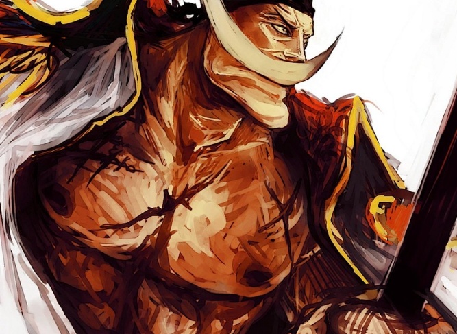 海贼王:最强男人白胡子身体弱?居然部分是女人的错