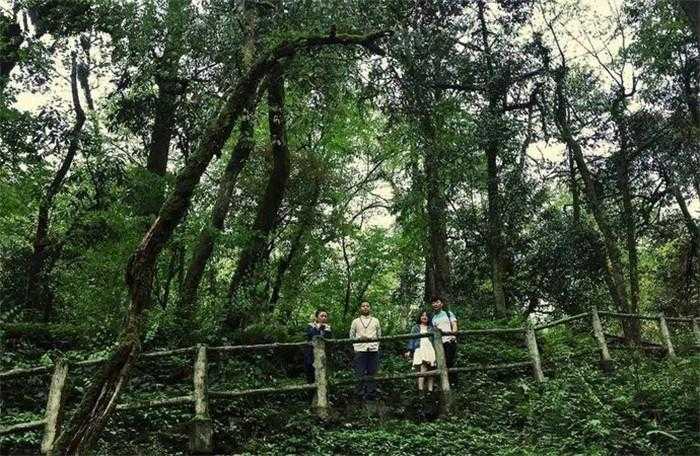 中国死亡谷在哪里入口就是鬼门关被称为中国的百慕大