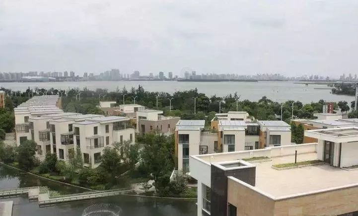 苏明玉到底有多有钱私人别墅泄露了她的身价