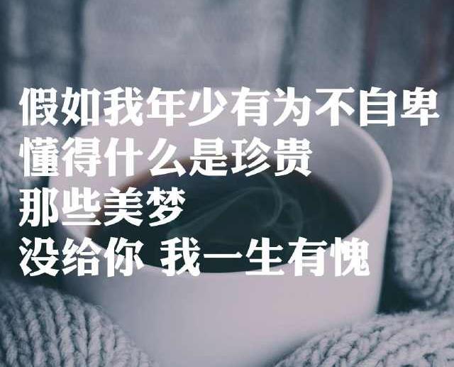 其中有一句就是假如我年少有为不自卑,就懂得什么是珍惜,这首歌已经有