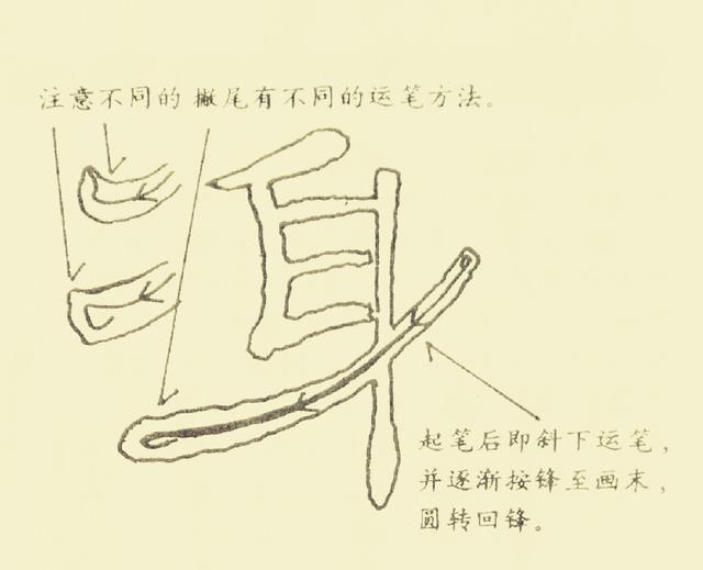隶书基本笔法解析,要掌握这11张图