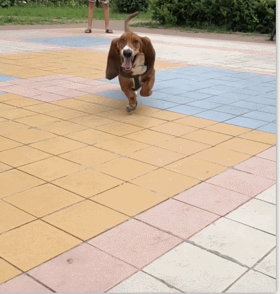 408_428gif 动态图 动图