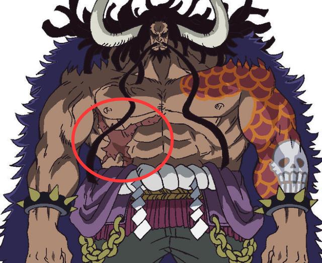 海贼王凯多身上的伤疤哪来的原来是这位强者砍伤的