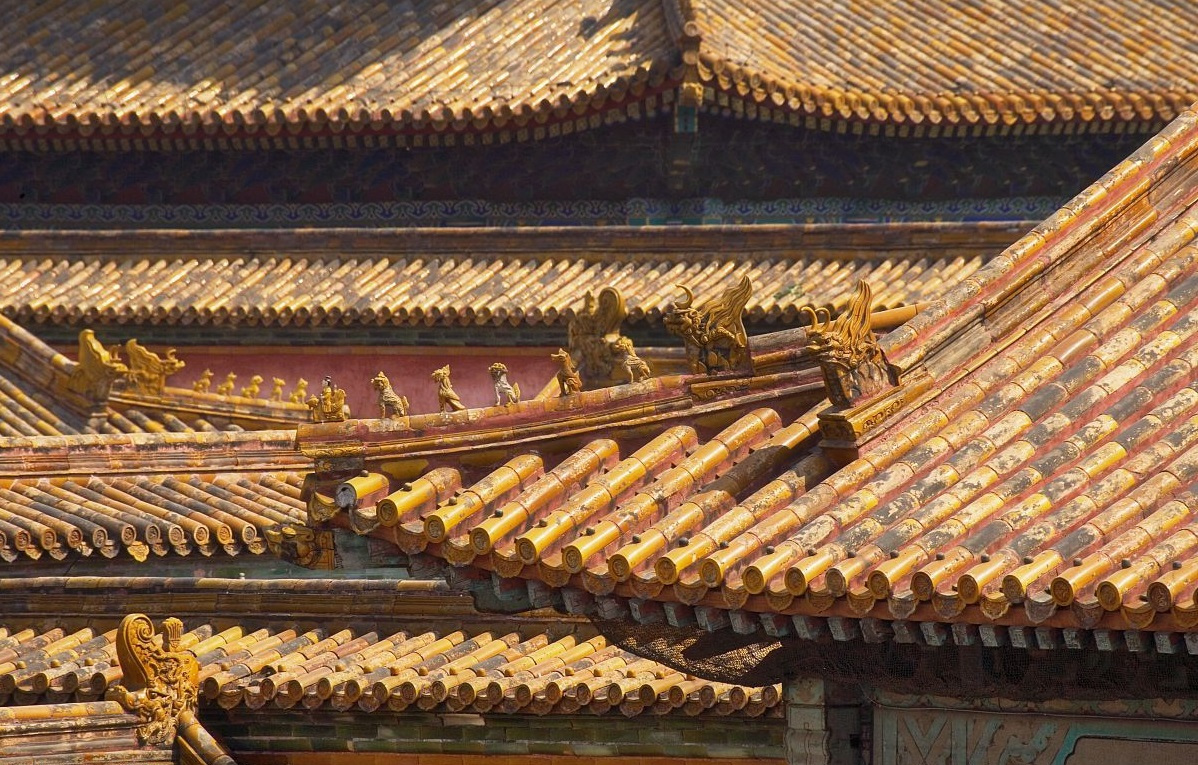 600多年来故宫屋顶为何连鸟粪都没有专家道破玄机令人叹服