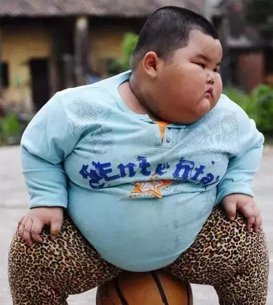 儿童肥胖|王诗龄|女大十八变_新浪新闻