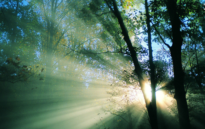 上海2019年春季高考作文题出炉:在阳光里生活,需要有步入阳光的能力
