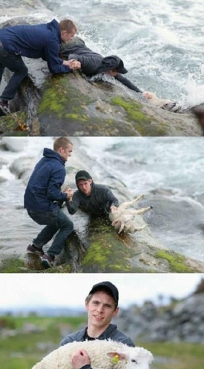 一组照片记录人们拯救动物的美好瞬间,感谢生命温暖的人!