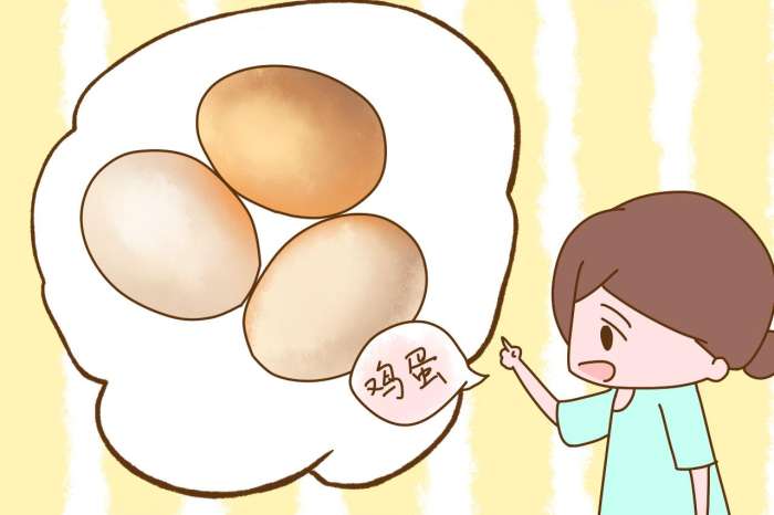 适量的让孩子吃鸡蛋不仅可以促进孩子的骨骼生长,还可以增强孩子的