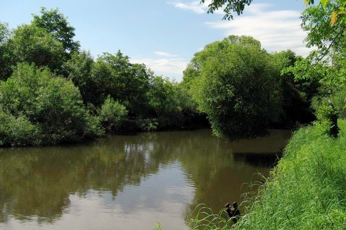 东北河里的奶包子常错认为餐条鱼个头虽小却是鱼中珍品