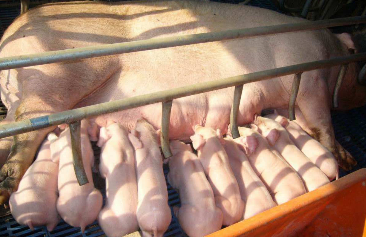 原因只有三个字