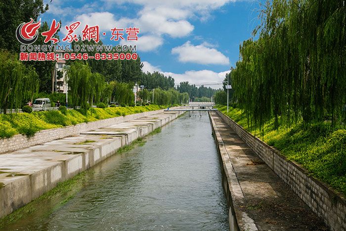 大王镇:融入现代化思想 收获乡村振兴最美果实