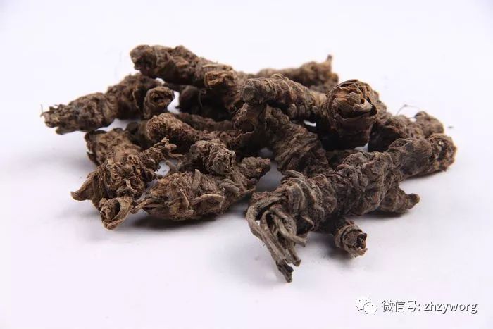 常见安神药缬草