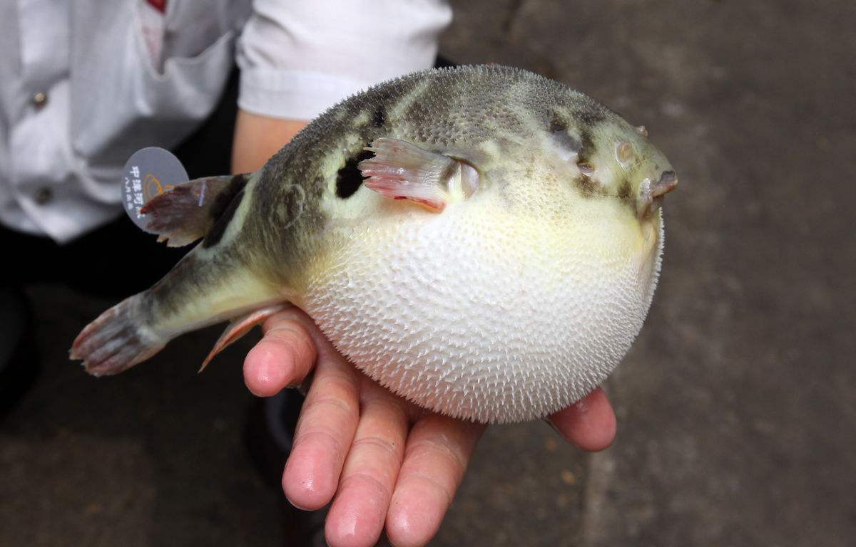 这4种食物看似美味实则毒素很多养家专家不建议您吃