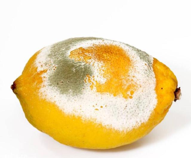 水果发霉了还能不能吃这几种水果哪怕只坏一小点也坚决不能吃