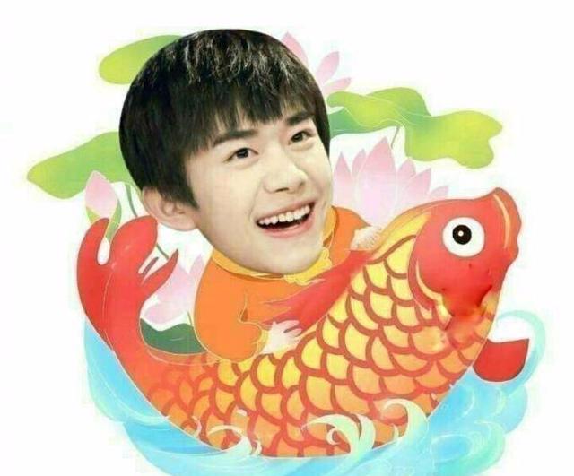 转发tfboys所有遗憾都会成为明年惊喜的铺垫|tfboys|铺垫|锦鲤_新浪网