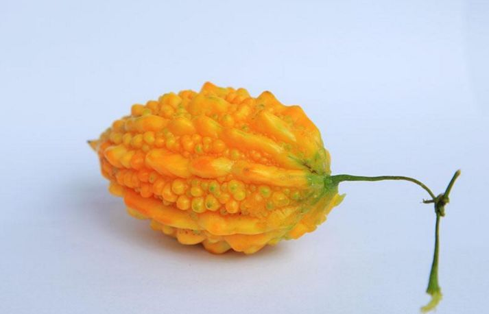 常吃金铃子不仅可以补气益血强筋健骨还可以清热解毒