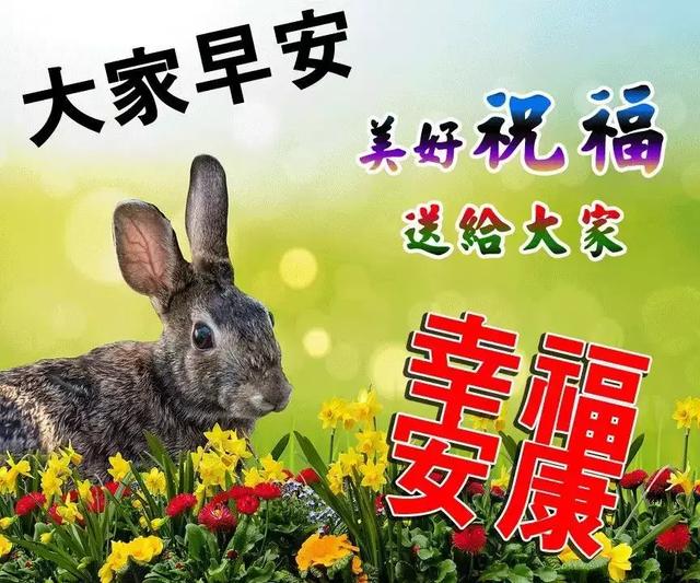 早上好珍惜今天珍惜现在珍惜生命中的每一天