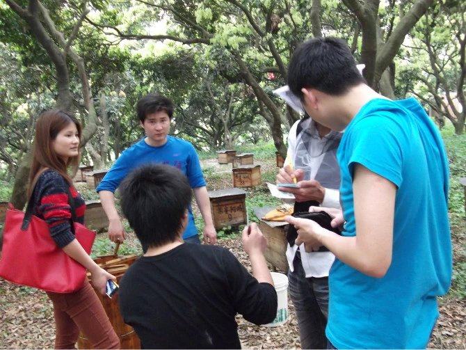 采蜜时节现采现卖客人不断真相让人难受蜂农难养