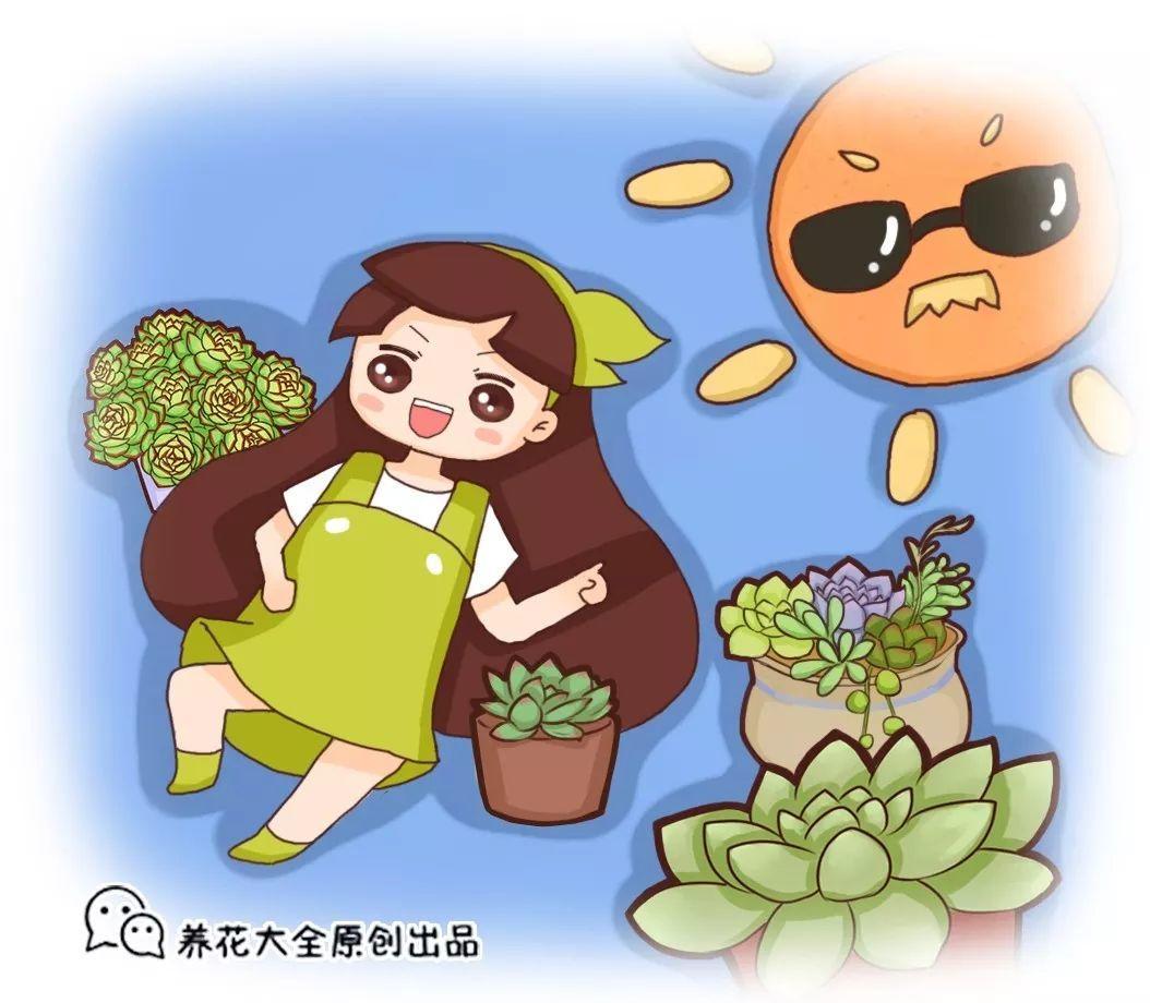 养多肉就得狠点心她一刀砍下去7天冒出10个芽