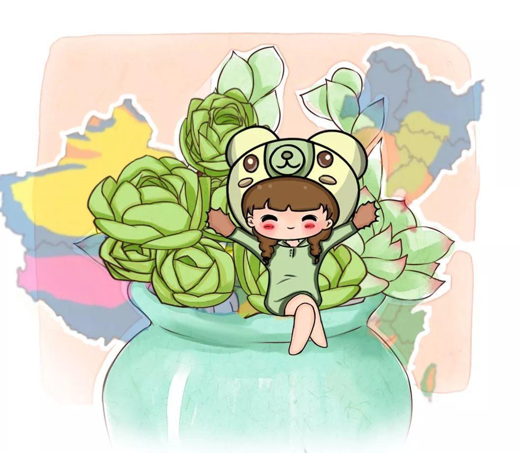 中国多肉开挂区,不止是云南,你的家乡也在榜上!